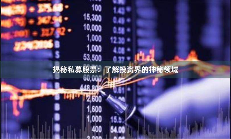 揭秘私募股票：了解投资界的神秘领域